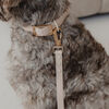 Dexypaws Waterproof Dog Collar in Nude - Size S