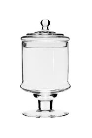 Natural Living Glass Pedestal Jar