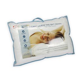 I Can't Believe It's Not Down Microfbre Euro Pillow 26'X26'