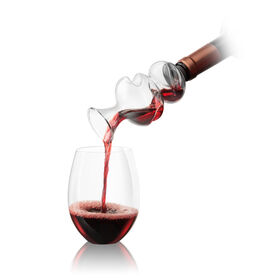 Final Touch On The Bottle Conundrum Wine Aerator