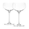Final Touch Coupe Lead-Free Crystal Glasses - Set of 2