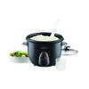 Salton Automatic 10 Cup Rice Cooker